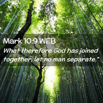 Picture 02 - Mark 10:9 WEB - What therefore God has joined together, let no - Bible Verse Picture
