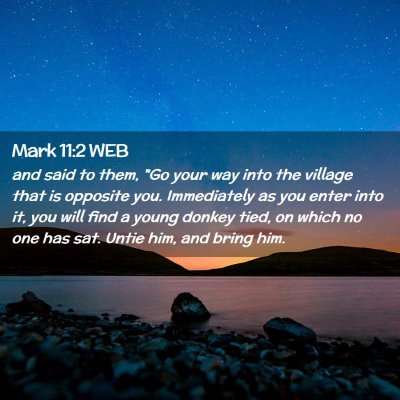 Picture 02 - Mark 11:2 WEB - and said to them, 