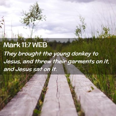 Picture 02 - Mark 11:7 WEB - They brought the young donkey to Jesus, and threw - Bible Verse Picture