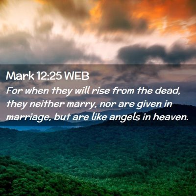 Picture 02 - Mark 12:25 WEB - For when they will rise from the dead, they - Bible Verse Picture