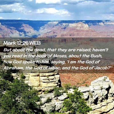 Picture 02 - Mark 12:26 WEB - But about the dead, that they are raised; haven't - Bible Verse Picture