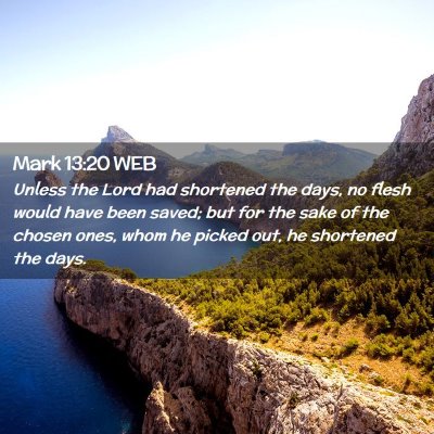 Picture 02 - Mark 13:20 WEB - Unless the Lord had shortened the days, no flesh - Bible Verse Picture