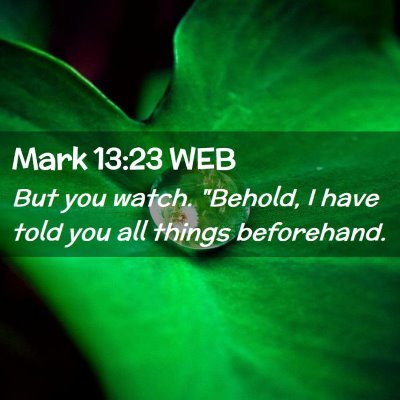 Picture 02 - Mark 13:23 WEB - But you watch. 