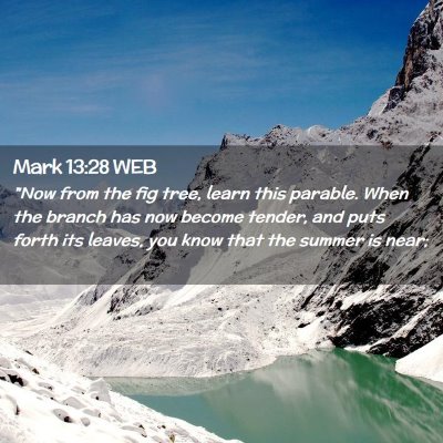 Picture 02 - Mark 13:28 WEB - 