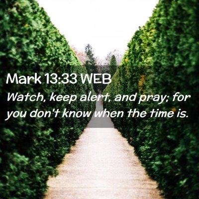 Picture 02 - Mark 13:33 WEB - Watch, keep alert, and pray; for you don't know - Bible Verse Picture