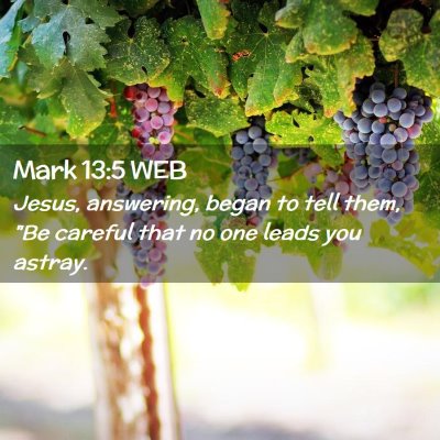 Picture 02 - Mark 13:5 WEB - Jesus, answering, began to tell them, 
