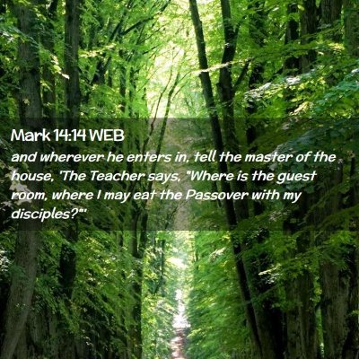 Picture 02 - Mark 14:14 WEB - and wherever he enters in, tell the master of the - Bible Verse Picture