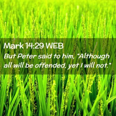 Picture 02 - Mark 14:29 WEB - But Peter said to him, 