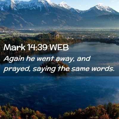 Picture 02 - Mark 14:39 WEB - Again he went away, and prayed, saying the same - Bible Verse Picture