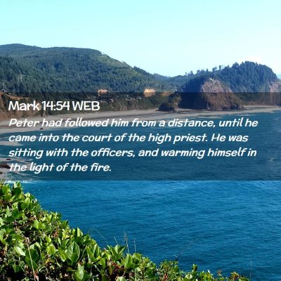 Picture 02 - Mark 14:54 WEB - Peter had followed him from a distance, until he - Bible Verse Picture