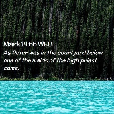 Picture 02 - Mark 14:66 WEB - As Peter was in the courtyard below, one of the - Bible Verse Picture