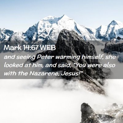Picture 02 - Mark 14:67 WEB - and seeing Peter warming himself, she looked at - Bible Verse Picture