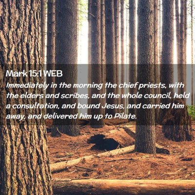Picture 02 - Mark 15:1 WEB - Immediately in the morning the chief priests, - Bible Verse Picture