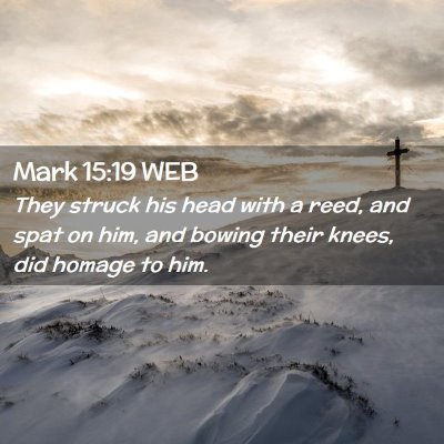 Picture 02 - Mark 15:19 WEB - They struck his head with a reed, and spat on - Bible Verse Picture
