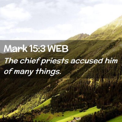 Picture 02 - Mark 15:3 WEB - The chief priests accused him of many - Bible Verse Picture