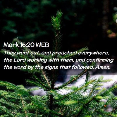 Picture 02 - Mark 16:20 WEB - They went out, and preached everywhere, the Lord - Bible Verse Picture