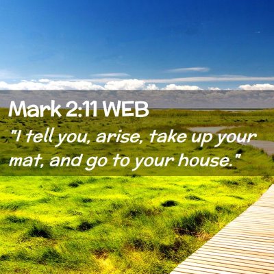 Picture 02 - Mark 2:11 WEB - 