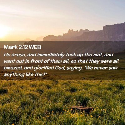 Picture 02 - Mark 2:12 WEB - He arose, and immediately took up the mat, and - Bible Verse Picture