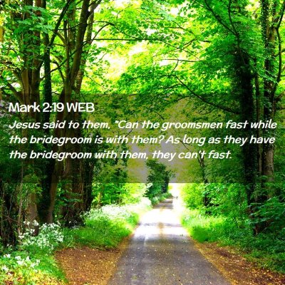 Picture 02 - Mark 2:19 WEB - Jesus said to them, 