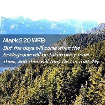 Picture 02 - Mark 2:20 WEB - But the days will come when the bridegroom will - Bible Verse Picture