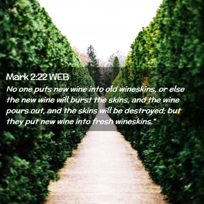 Picture 02 - Mark 2:22 WEB - No one puts new wine into old wineskins, or else - Bible Verse Picture