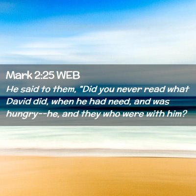 Picture 02 - Mark 2:25 WEB - He said to them, 