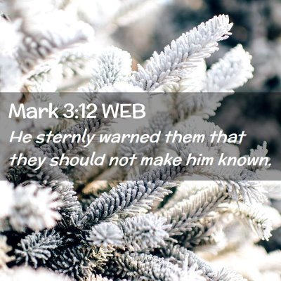 Picture 02 - Mark 3:12 WEB - He sternly warned them that they should not make - Bible Verse Picture