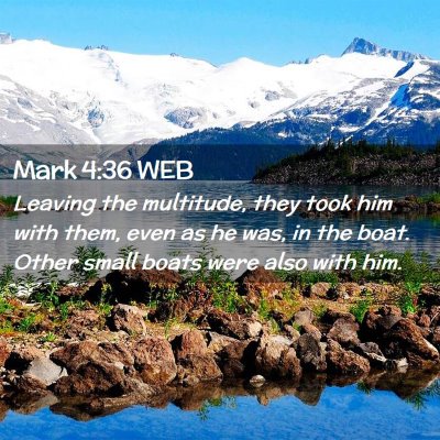 Picture 02 - Mark 4:36 WEB - Leaving the multitude, they took him with them, - Bible Verse Picture