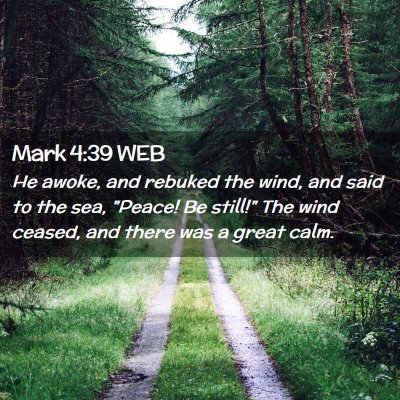 Picture 02 - Mark 4:39 WEB - He awoke, and rebuked the wind, and said to the - Bible Verse Picture