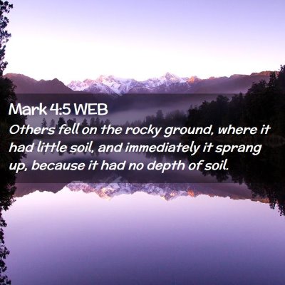 Picture 02 - Mark 4:5 WEB - Others fell on the rocky ground, where it had - Bible Verse Picture