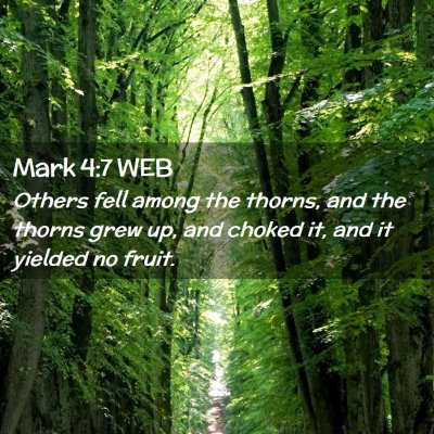 Picture 02 - Mark 4:7 WEB - Others fell among the thorns, and the thorns grew - Bible Verse Picture