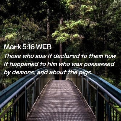 Picture 02 - Mark 5:16 WEB - Those who saw it declared to them how it happened - Bible Verse Picture