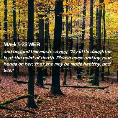 Picture 02 - Mark 5:23 WEB - and begged him much, saying, 