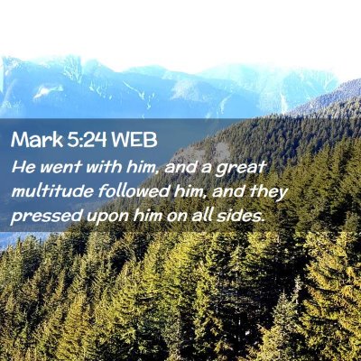 Picture 02 - Mark 5:24 WEB - He went with him, and a great multitude followed - Bible Verse Picture