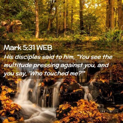 Picture 02 - Mark 5:31 WEB - His disciples said to him, 
