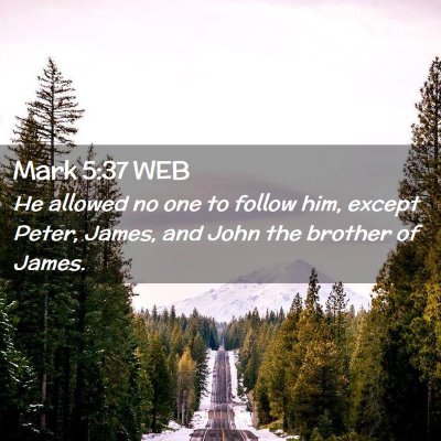Picture 02 - Mark 5:37 WEB - He allowed no one to follow him, except Peter, - Bible Verse Picture