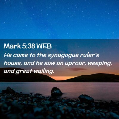 Picture 02 - Mark 5:38 WEB - He came to the synagogue ruler's house, and he - Bible Verse Picture