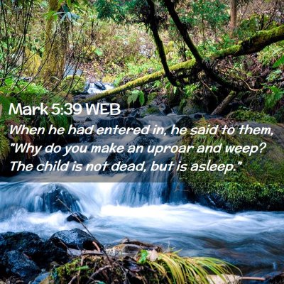 Picture 02 - Mark 5:39 WEB - When he had entered in, he said to them, 