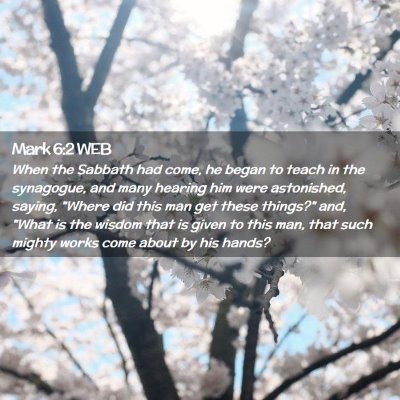 Picture 02 - Mark 6:2 WEB - When the Sabbath had come, he began to teach in - Bible Verse Picture
