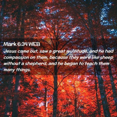Picture 02 - Mark 6:34 WEB - Jesus came out, saw a great multitude, and he had - Bible Verse Picture