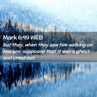 Picture 02 - Mark 6:49 WEB - but they, when they saw him walking on the sea, - Bible Verse Picture