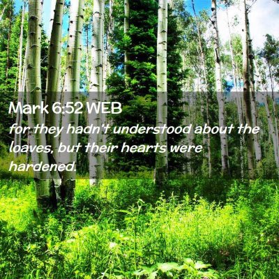 Picture 02 - Mark 6:52 WEB - for they hadn't understood about the loaves, but - Bible Verse Picture
