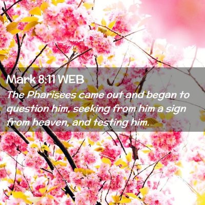 Picture 02 - Mark 8:11 WEB - The Pharisees came out and began to question him, - Bible Verse Picture