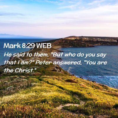 Picture 02 - Mark 8:29 WEB - He said to them, 