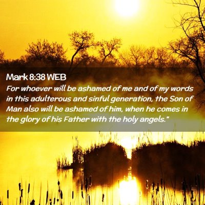 Picture 02 - Mark 8:38 WEB - For whoever will be ashamed of me and of my words - Bible Verse Picture
