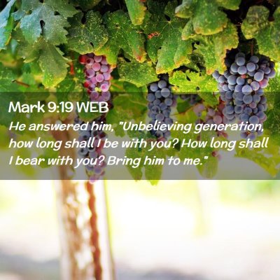 Picture 02 - Mark 9:19 WEB - He answered him, 