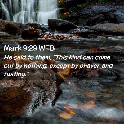 Picture 02 - Mark 9:29 WEB - He said to them, 