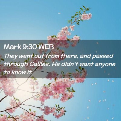 Picture 02 - Mark 9:30 WEB - They went out from there, and passed through - Bible Verse Picture