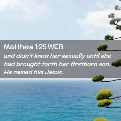 Picture 02 - Matthew 1:25 WEB - and didn't know her sexually until she had - Bible Verse Picture