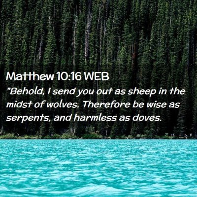 Picture 02 - Matthew 10:16 WEB - 